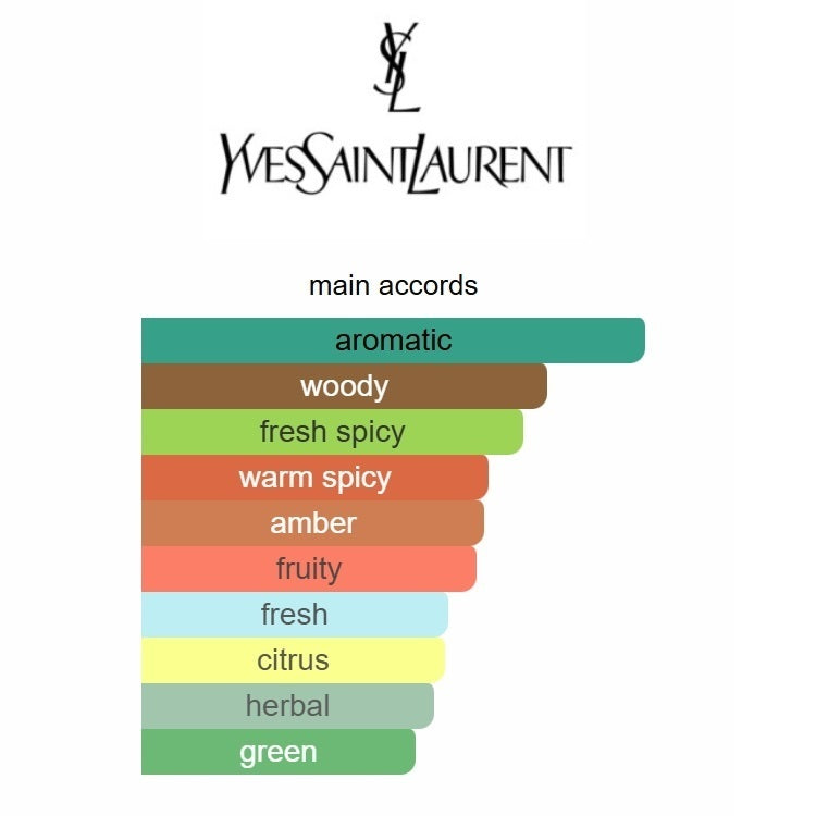 Y Eau de Parfum 100ML