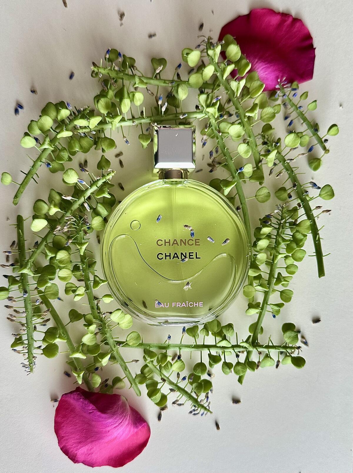 Chance Eau Fraiche Eau de Parfum 100ML