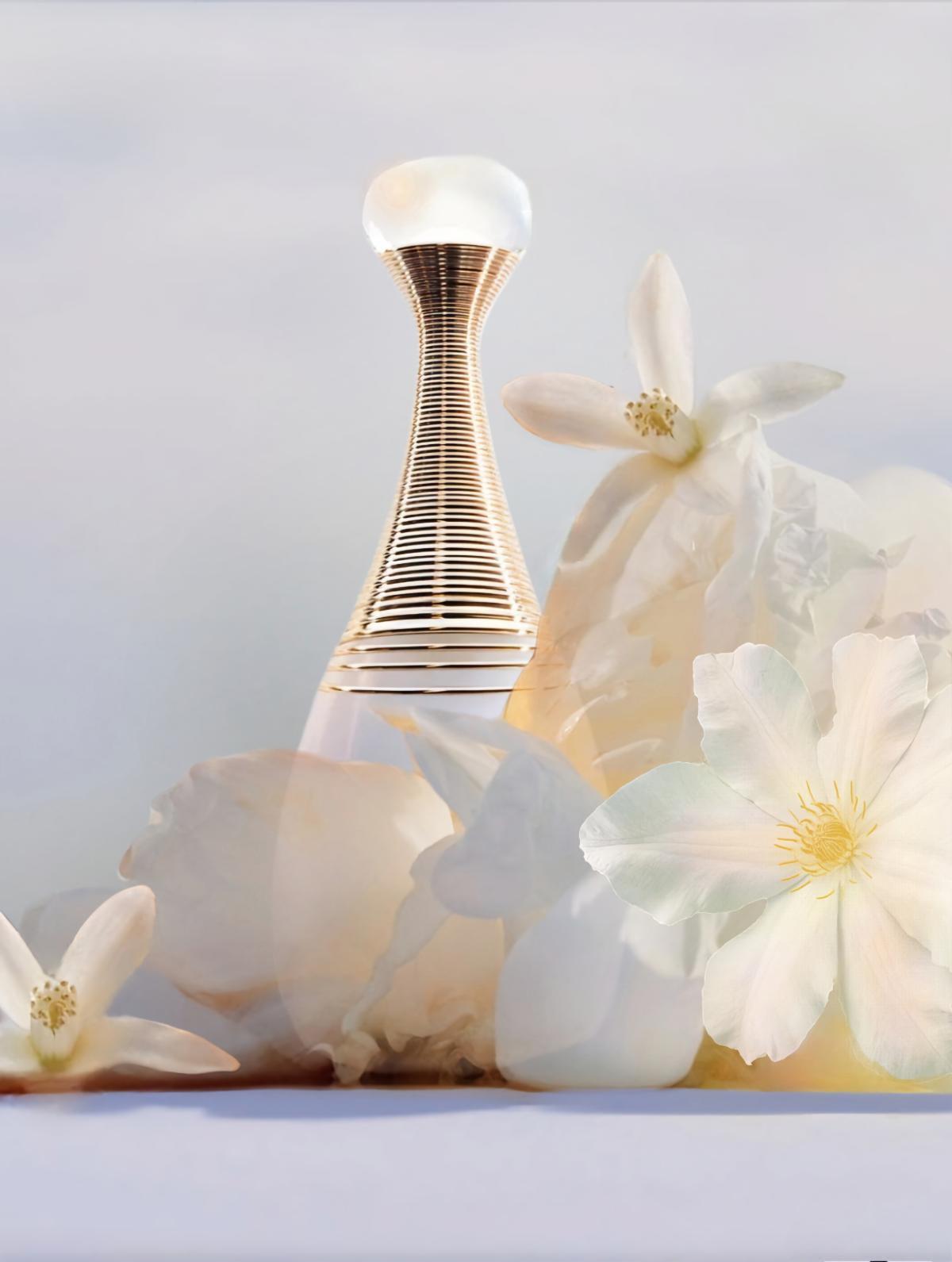 J'adore Parfum d'Eau 100ML