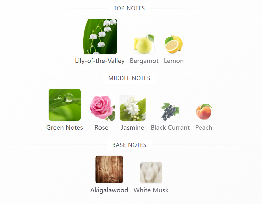 Floral fragrance 100ML