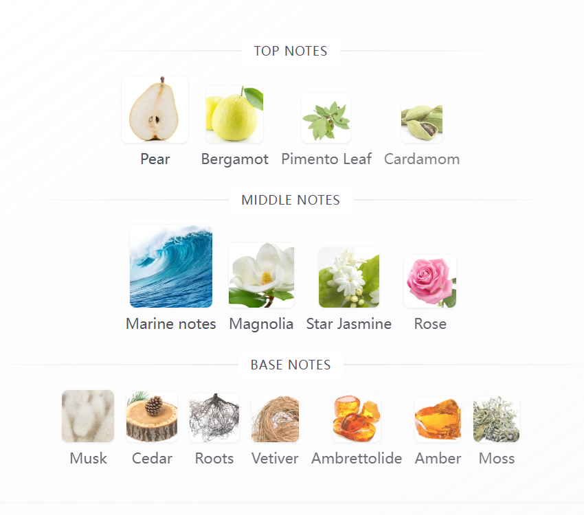 Greenpoint Eau de Parfum 100ML