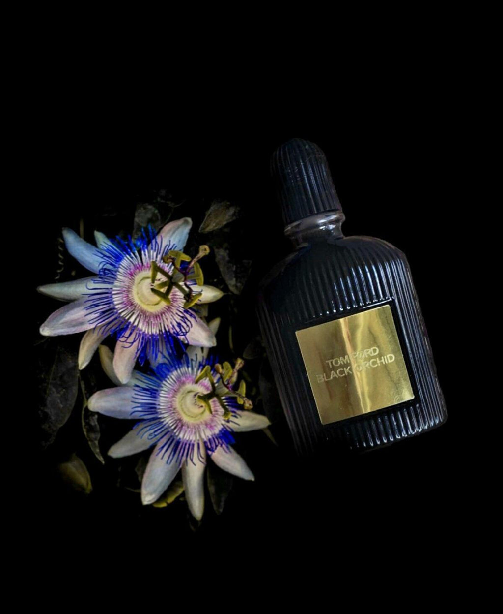 Black Orchid  100ML