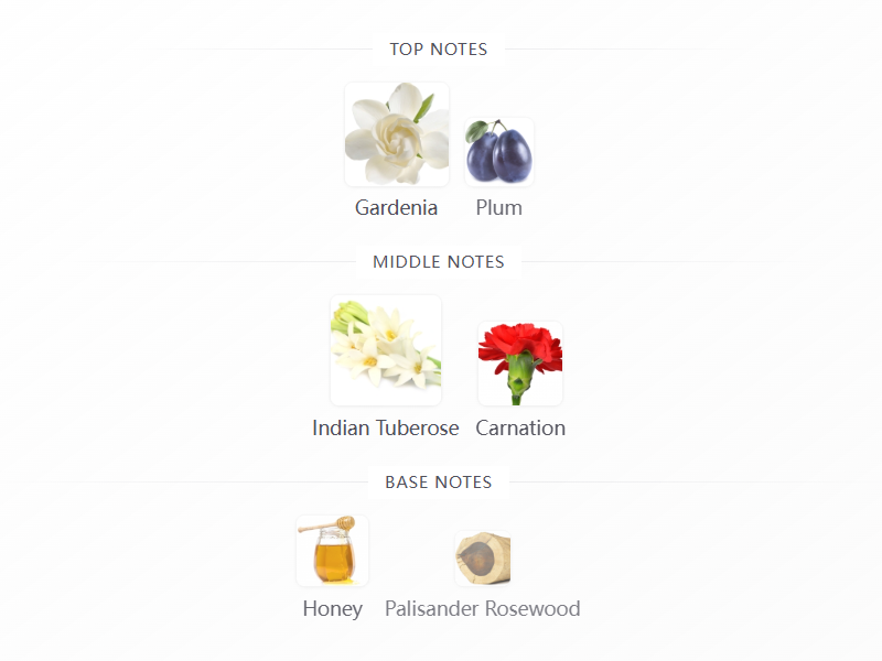 Casablanca Lily 2025 100ML