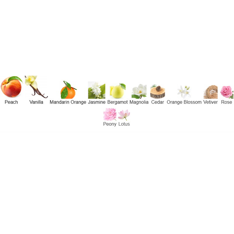 Allure Eau de Parfum 100ML