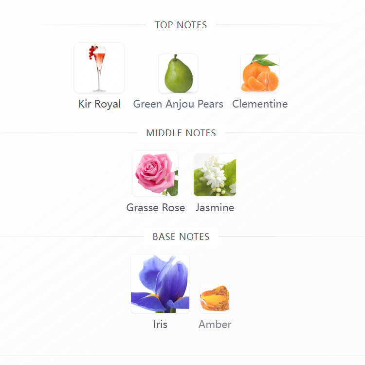 New York Flowers Eau de Parfum 100ML