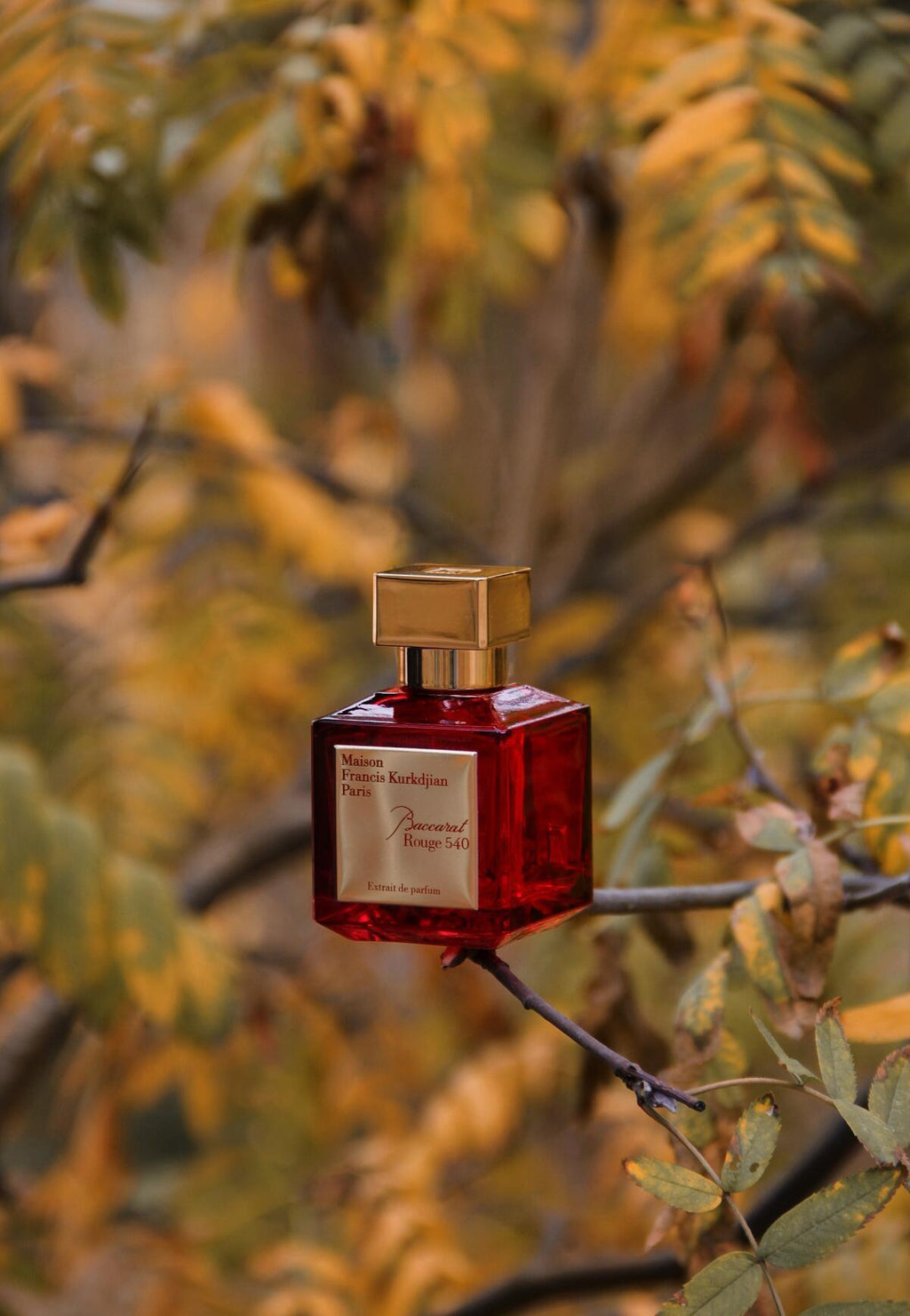 Baccarat Rouge 540 Extrait de Parfum 70ML