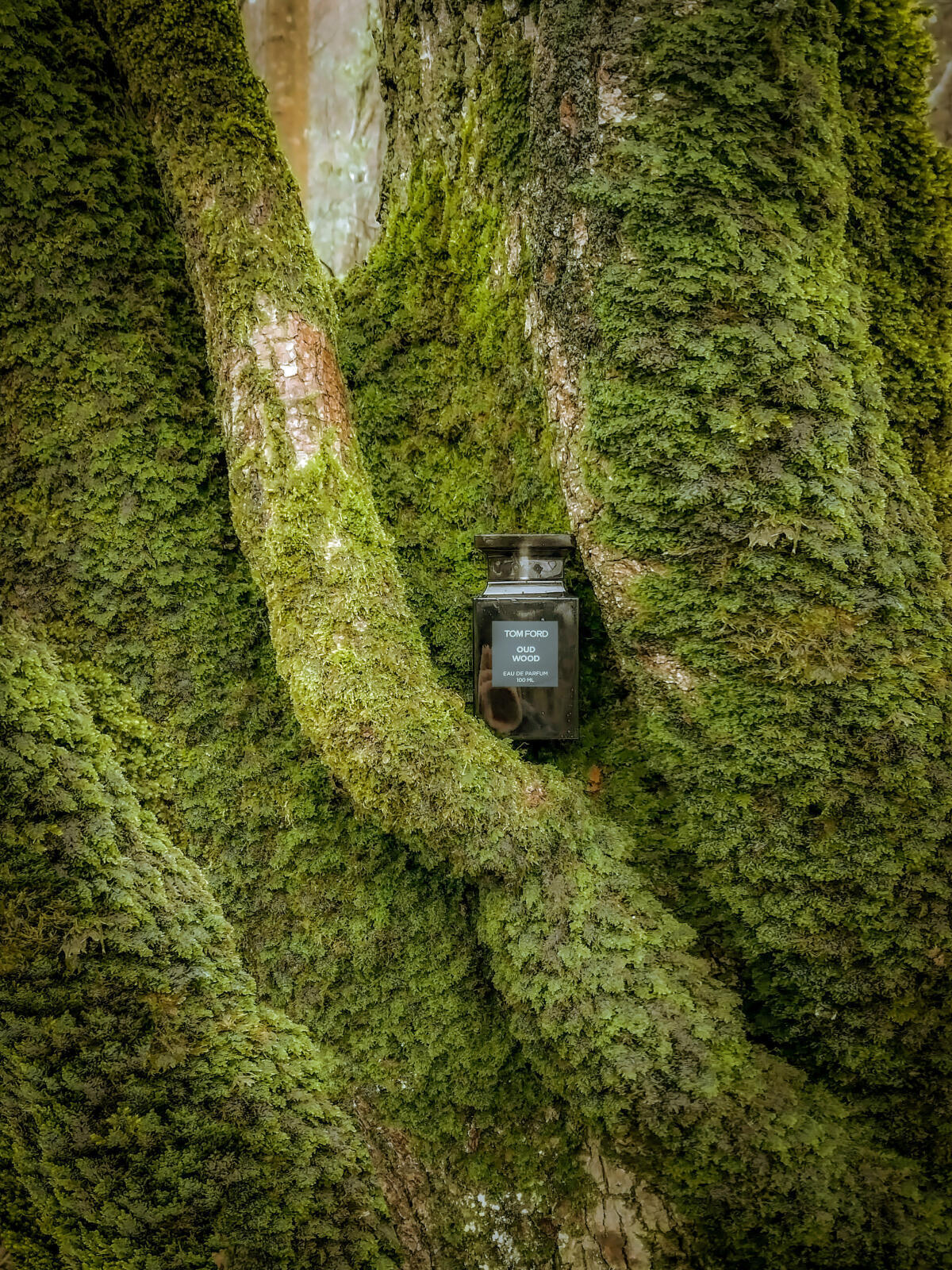 Oud Wood 100ML