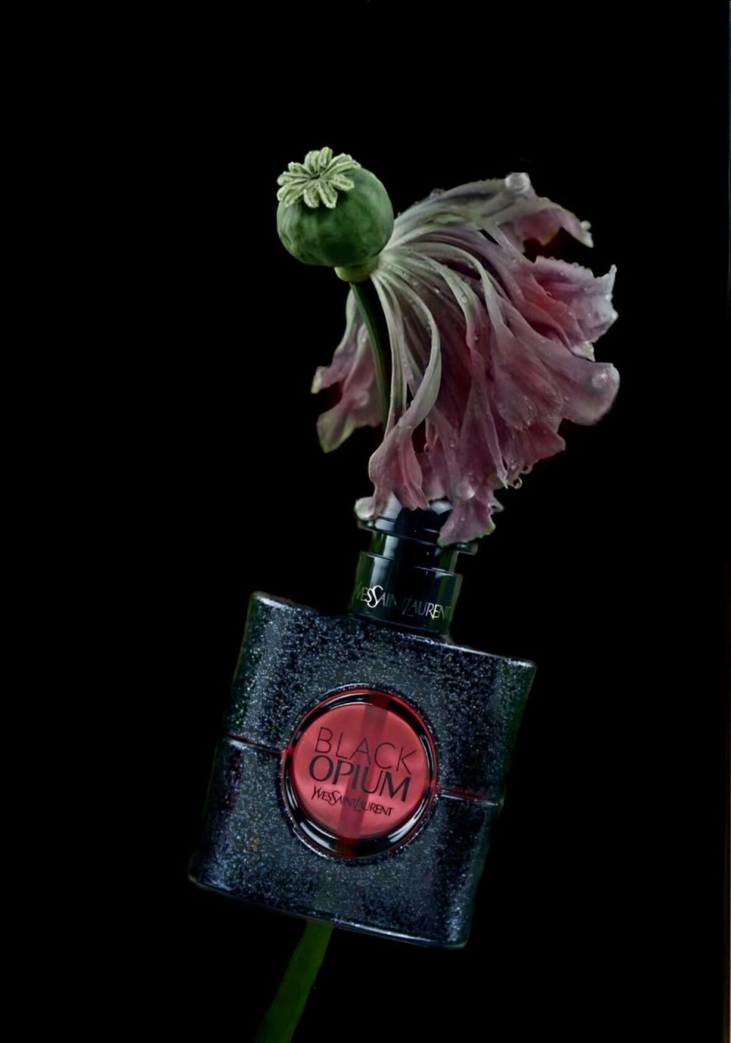 Black Opium 100ML